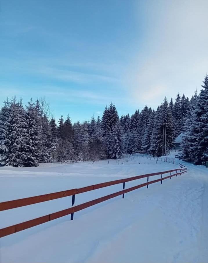 Willa Andilak Vendeghaz Sintimbru-Bai Zewnętrze zdjęcie